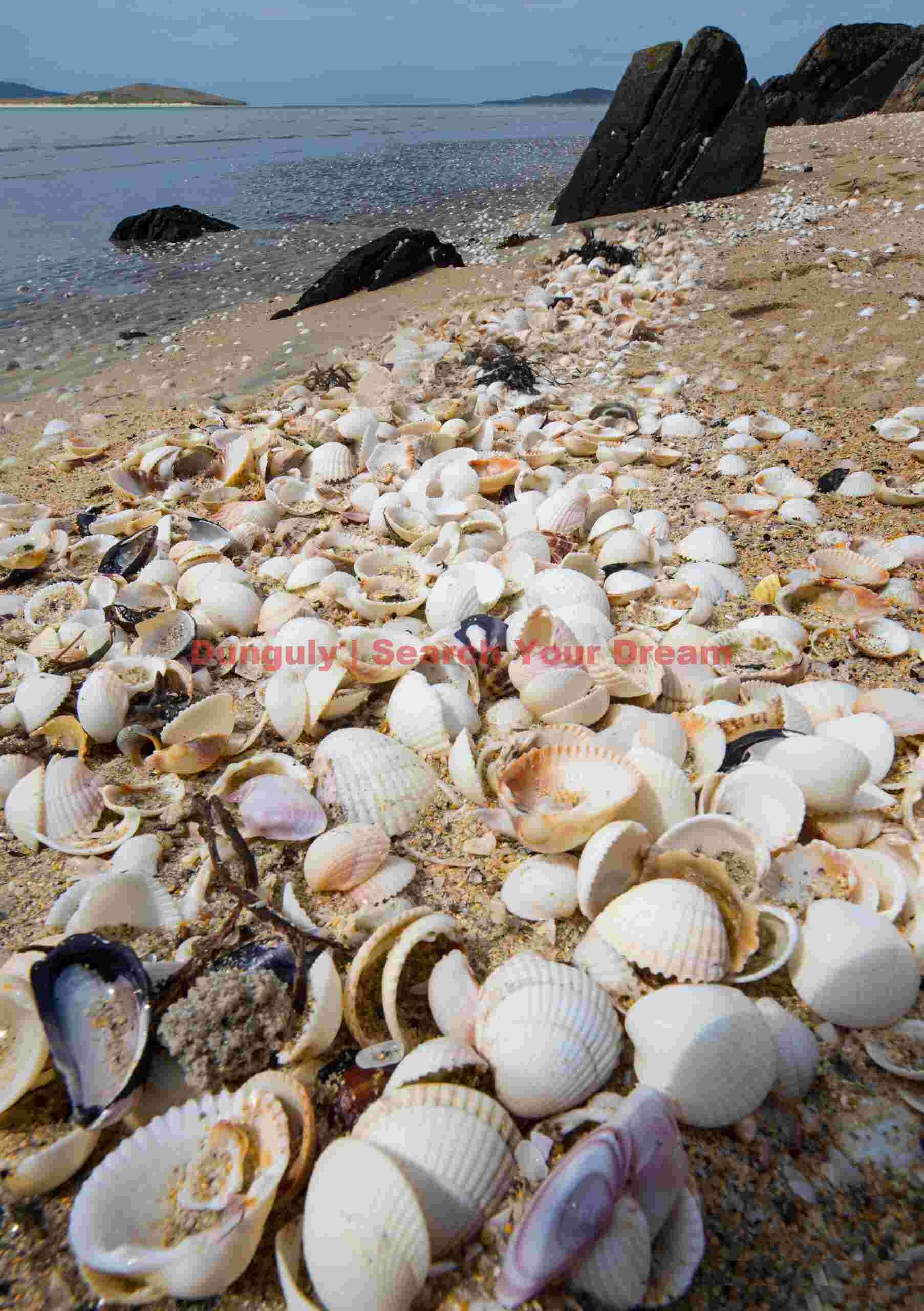 Shell beach ; Isle of Harris, Scotland Shell beach