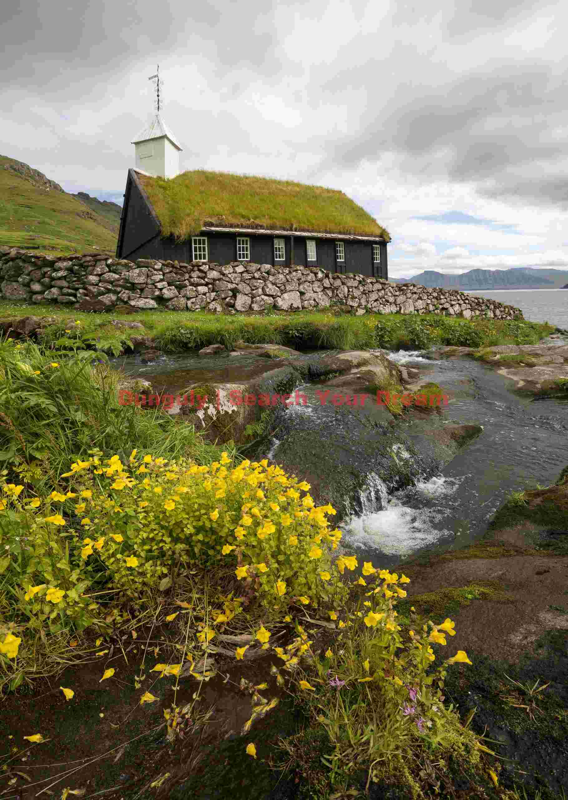 Turf-roofed church and wildflowers; Faroe Islands Turf-roofed church and wildflowers