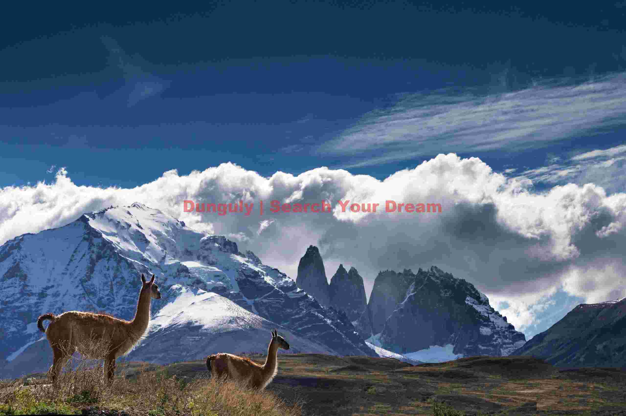 Two guanaco in front of the Torres; Torres del Paine National Park, Patagonia Two guanaco in front of the Torres