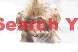 Young snow monkey with thumb in mouth