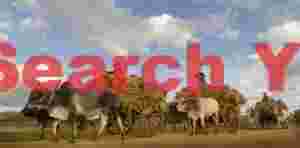 A convoy of ox carts