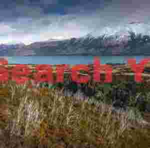 Bare forest and Lake Wakatipu