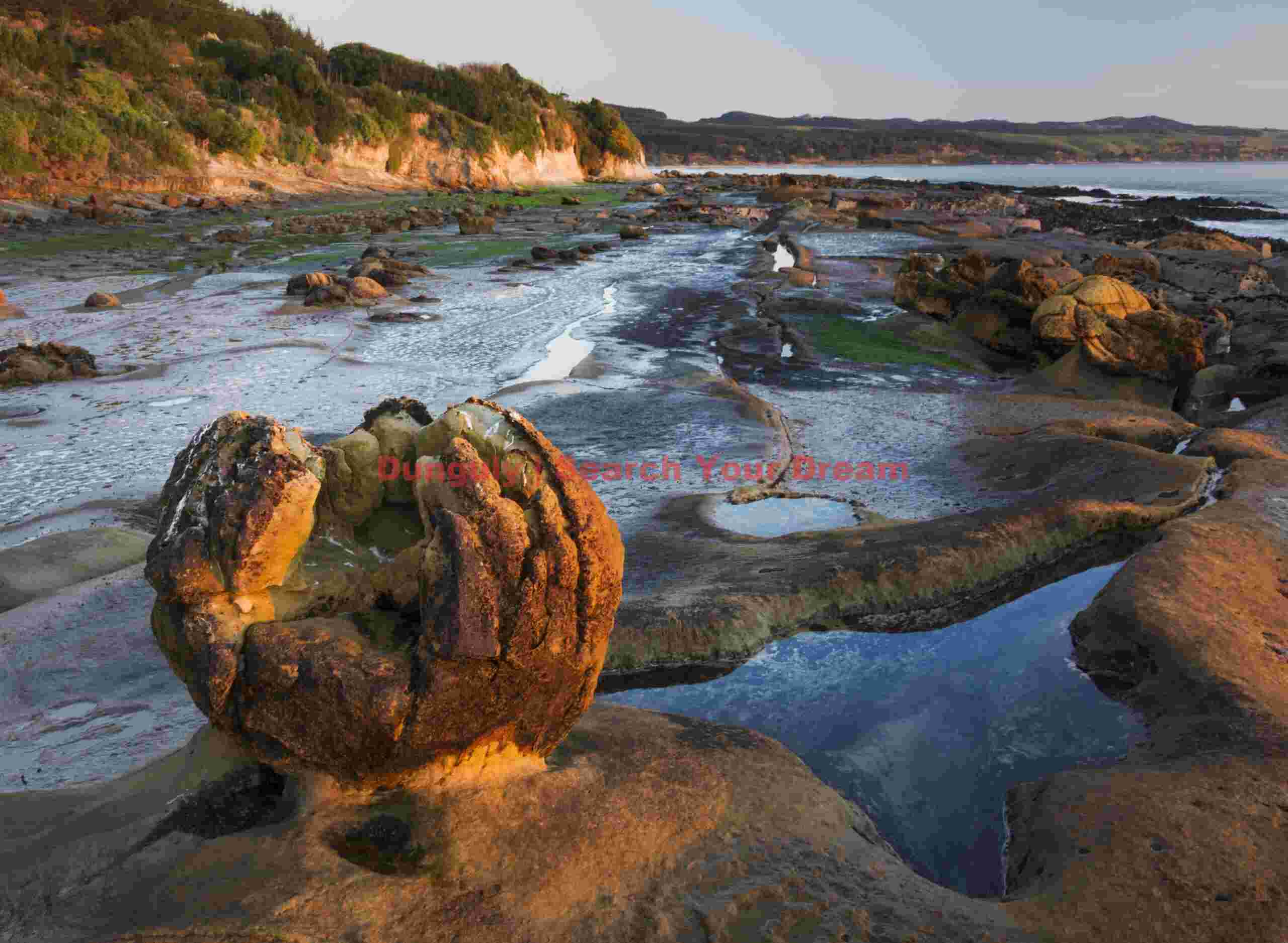 Baseball glove; Katiki Boulders, Shag Point, New Zealand Baseball glove