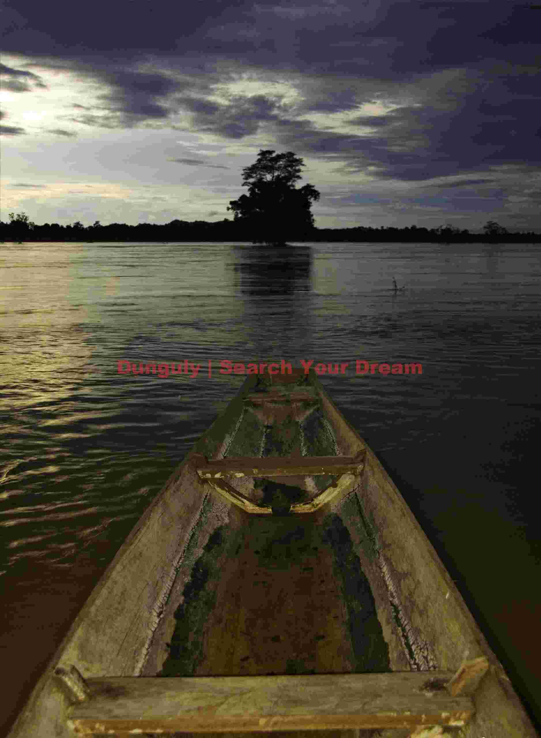Boat and tree ; Mekong River, Laos Boat and tree