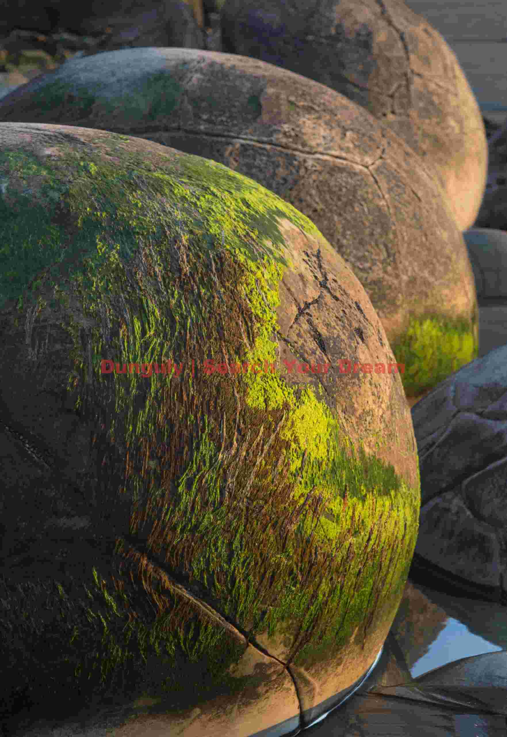 Boulder symmetry; Moeraki, New Zealand Boulder symmetry