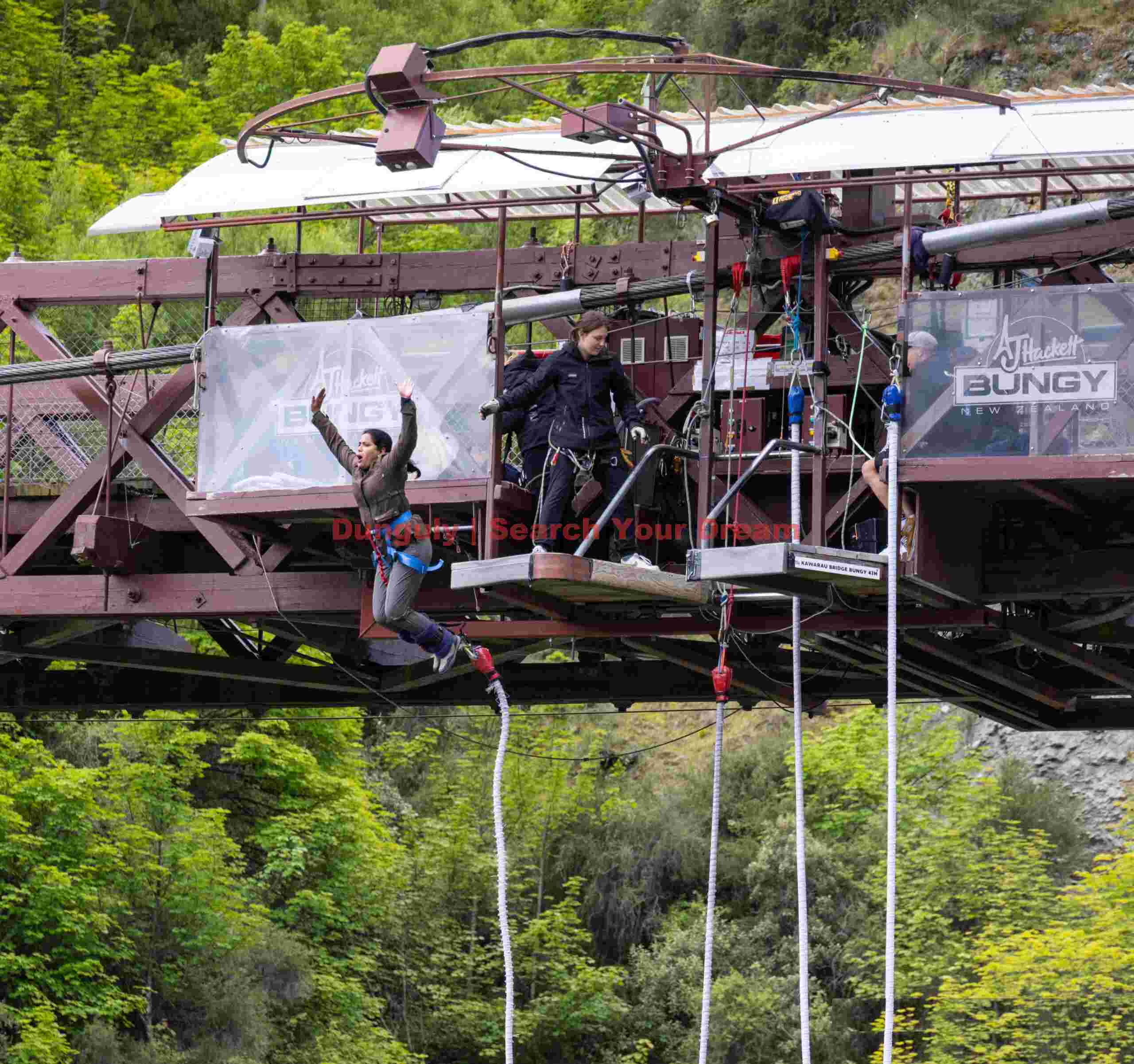 Bungy jumper leaping from platform; South Island, New Zealand Bungy jumper leaping from platform