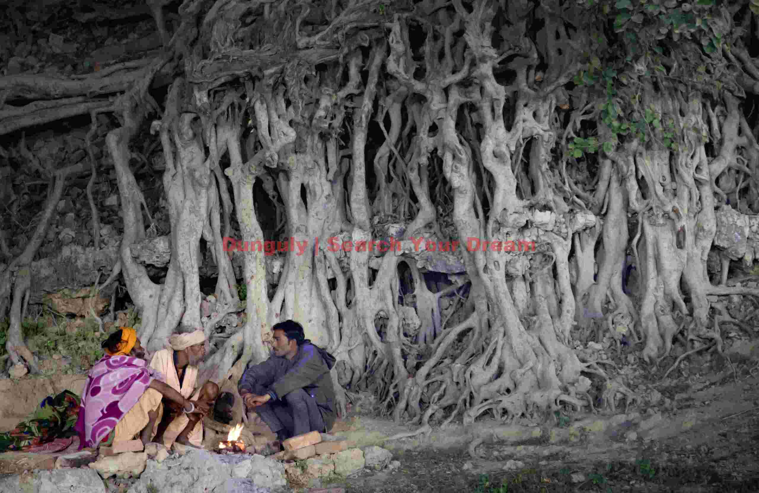 Campfire by roots on the bank of the Ganges; Kumbh Mela, Allahbad, India Campfire by roots on the bank of the Ganges