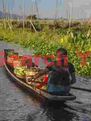 Canoe carrying produce
