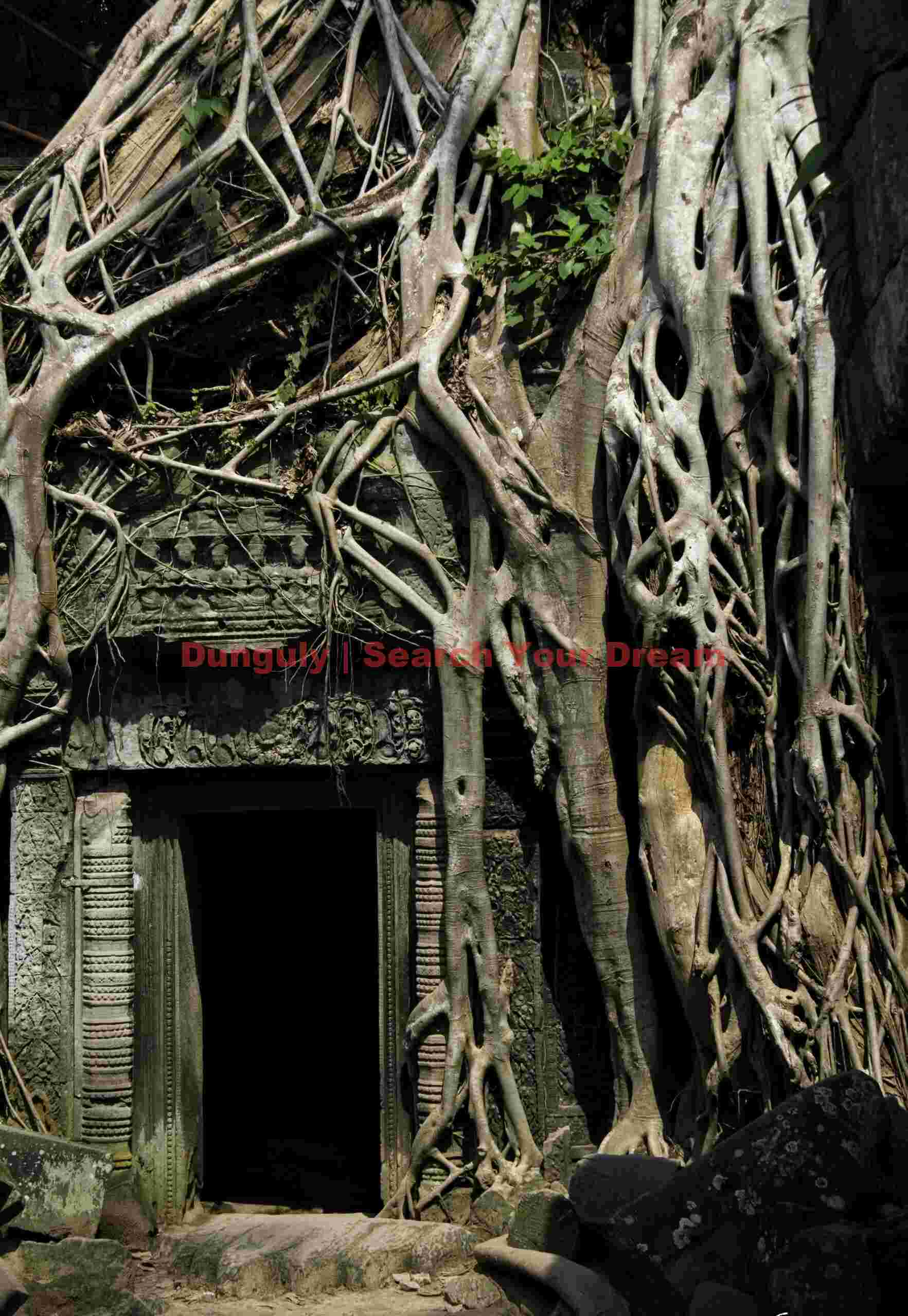 Doorway and roots; Ta Prohm Temple; Angkor, Cambodia Doorway and roots