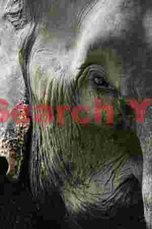 Elephantine eye