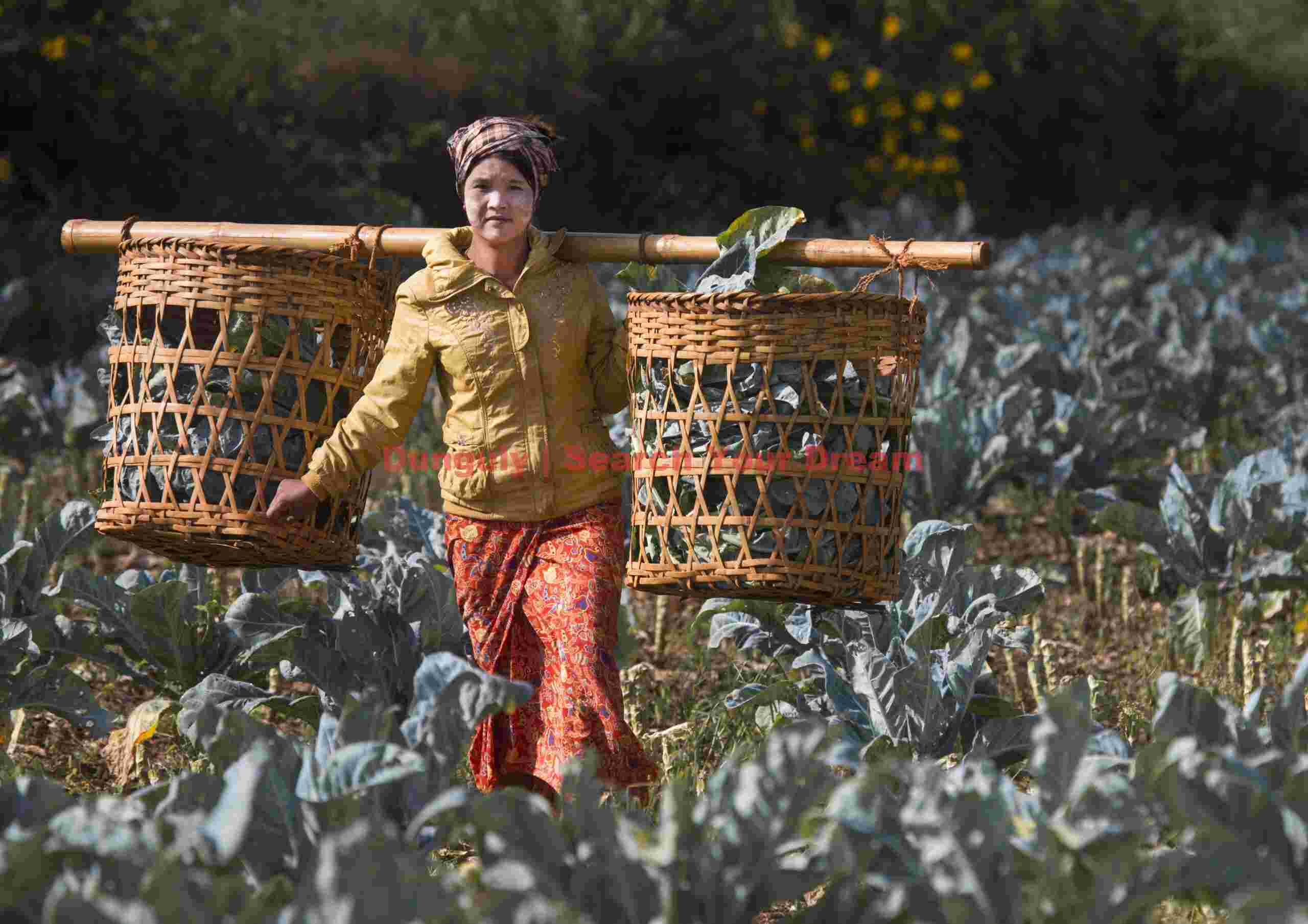 Girl carrying shoulder baskets; Burma road Girl carrying shoulder baskets
