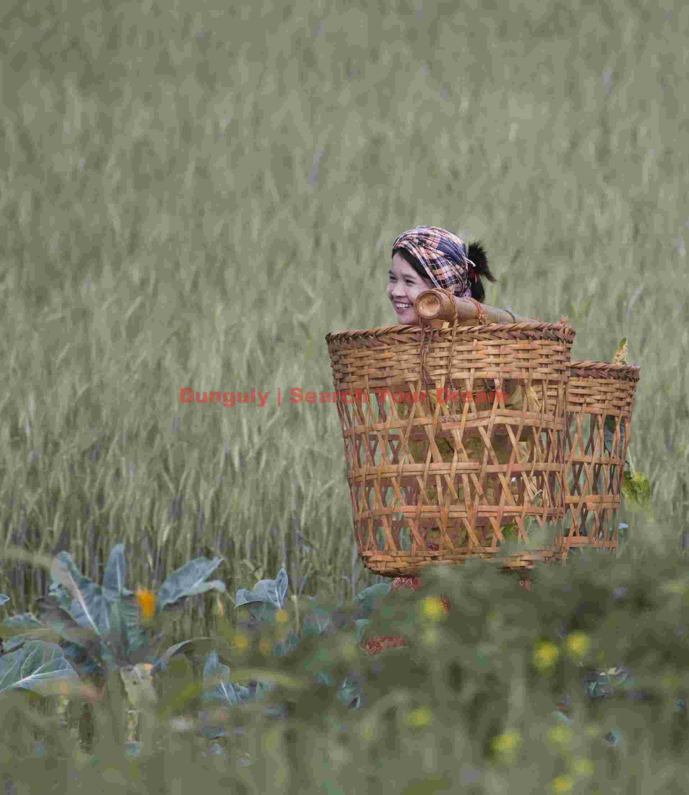 Girl in fields with baskets; Burma road Girl in fields with baskets