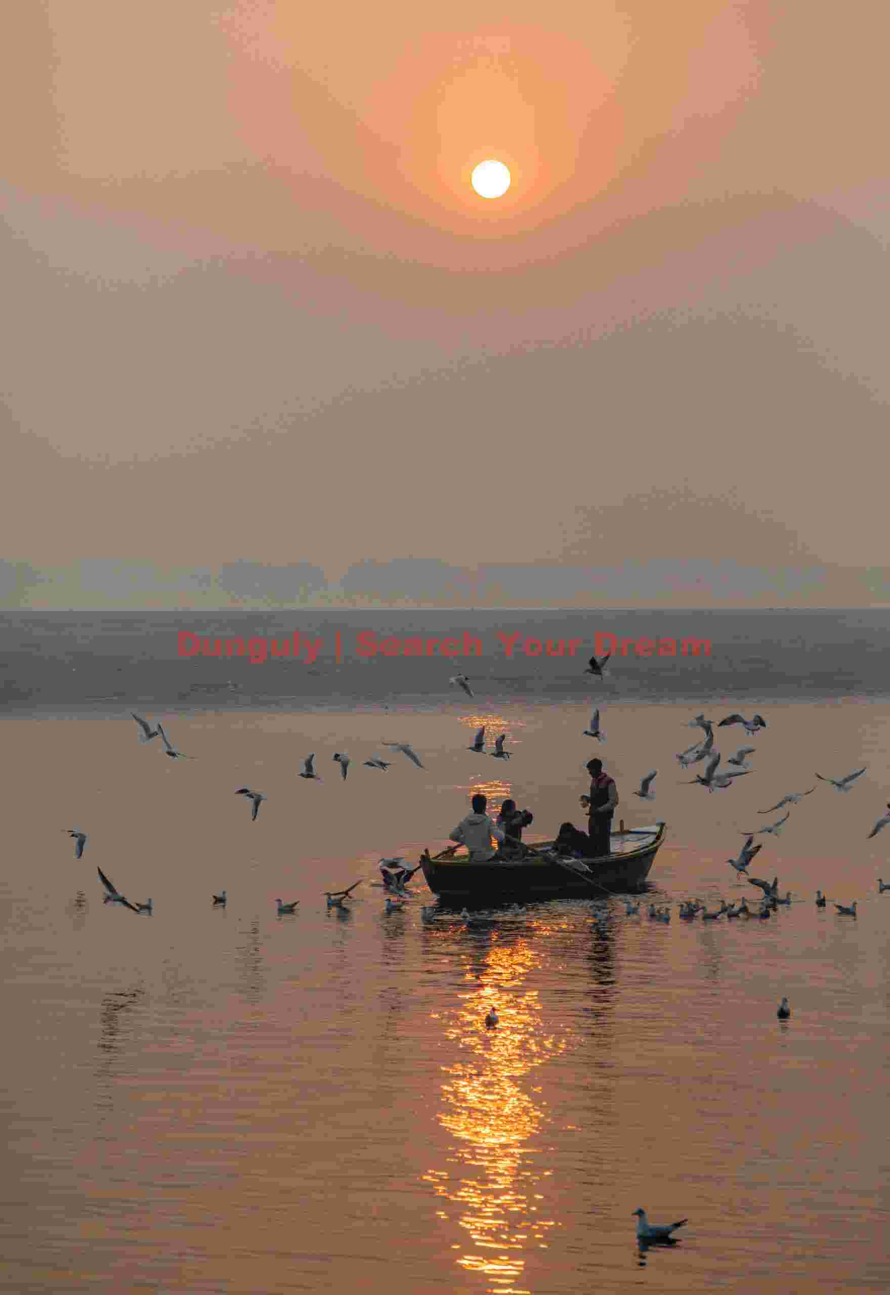 Gulls around boat; Varanasi Gulls around boat