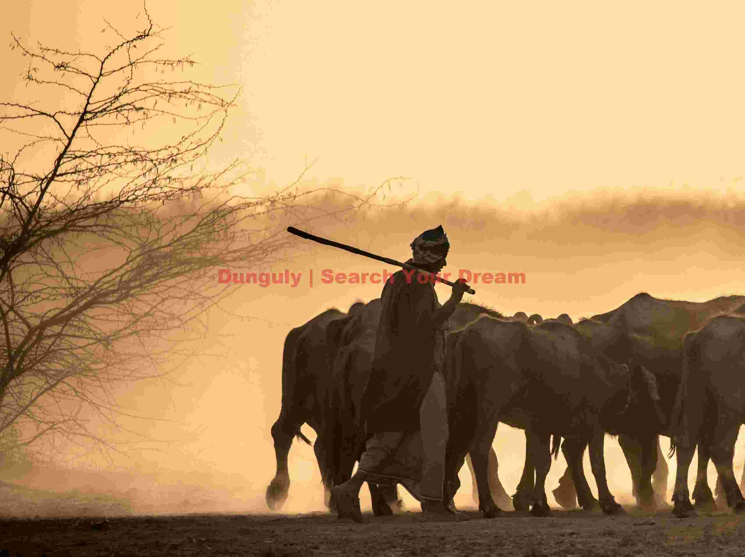 Herdsman; Along the road, Rann of Kutch Herdsman