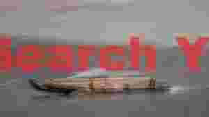 Motion blur