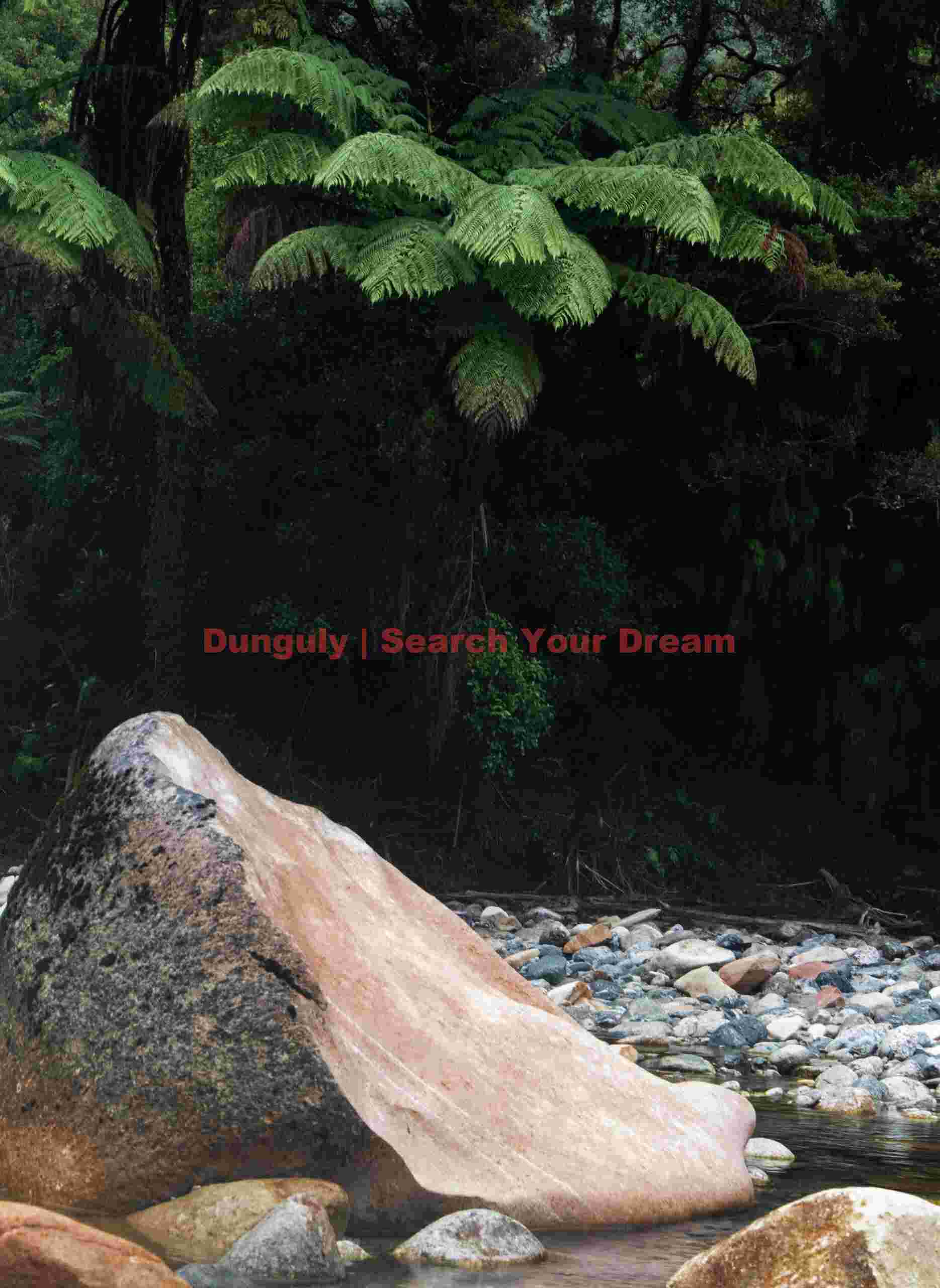 Orange boulder and giant ferns; South Island, New Zealand Orange boulder and giant ferns