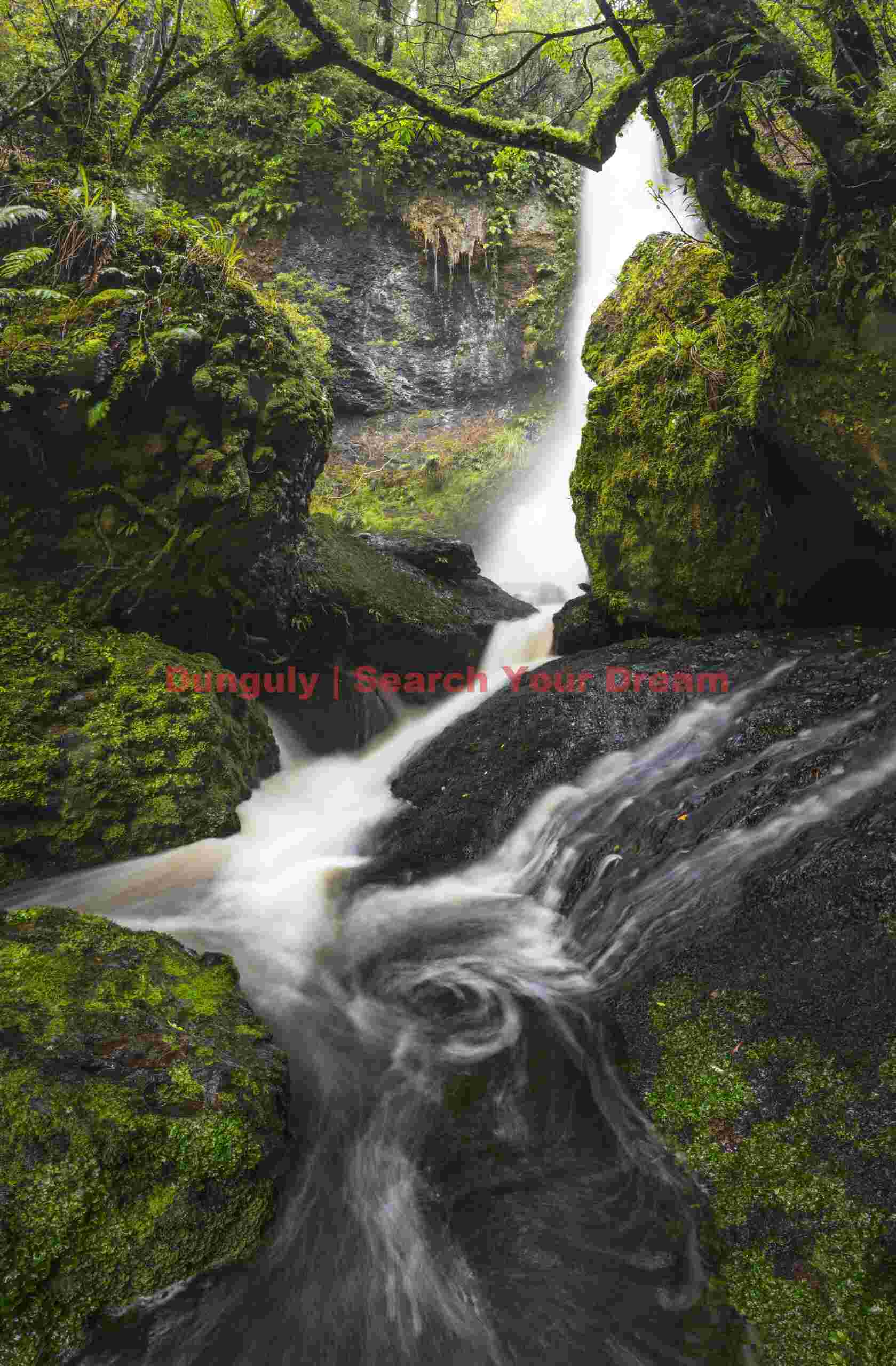 Pouriwai Falls; Catlins, New Zealand Pouriwai Falls