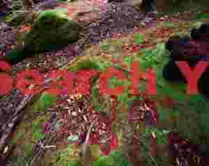 Red on greeen moss
