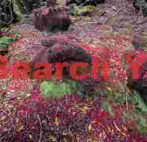 Red underfloor