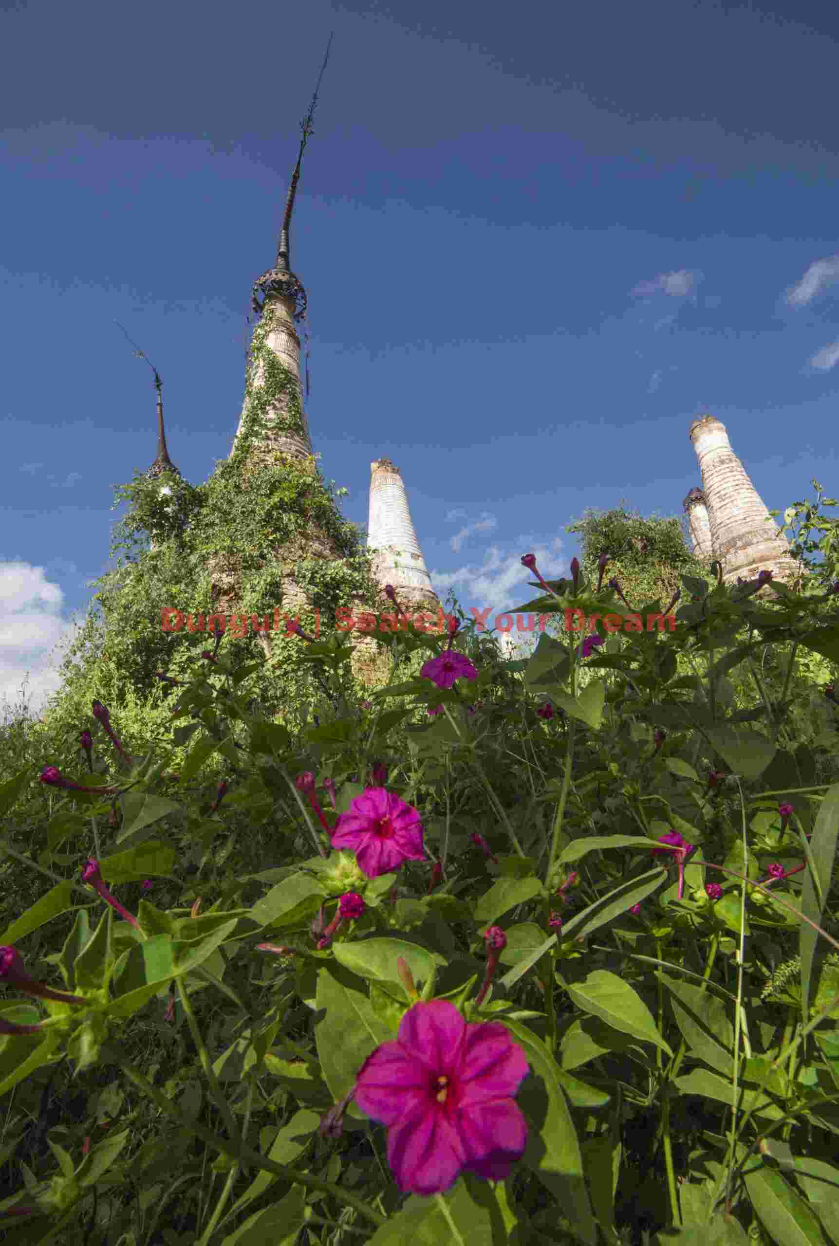 Ruined stupas and flowers; Burma Ruined stupas and flowers