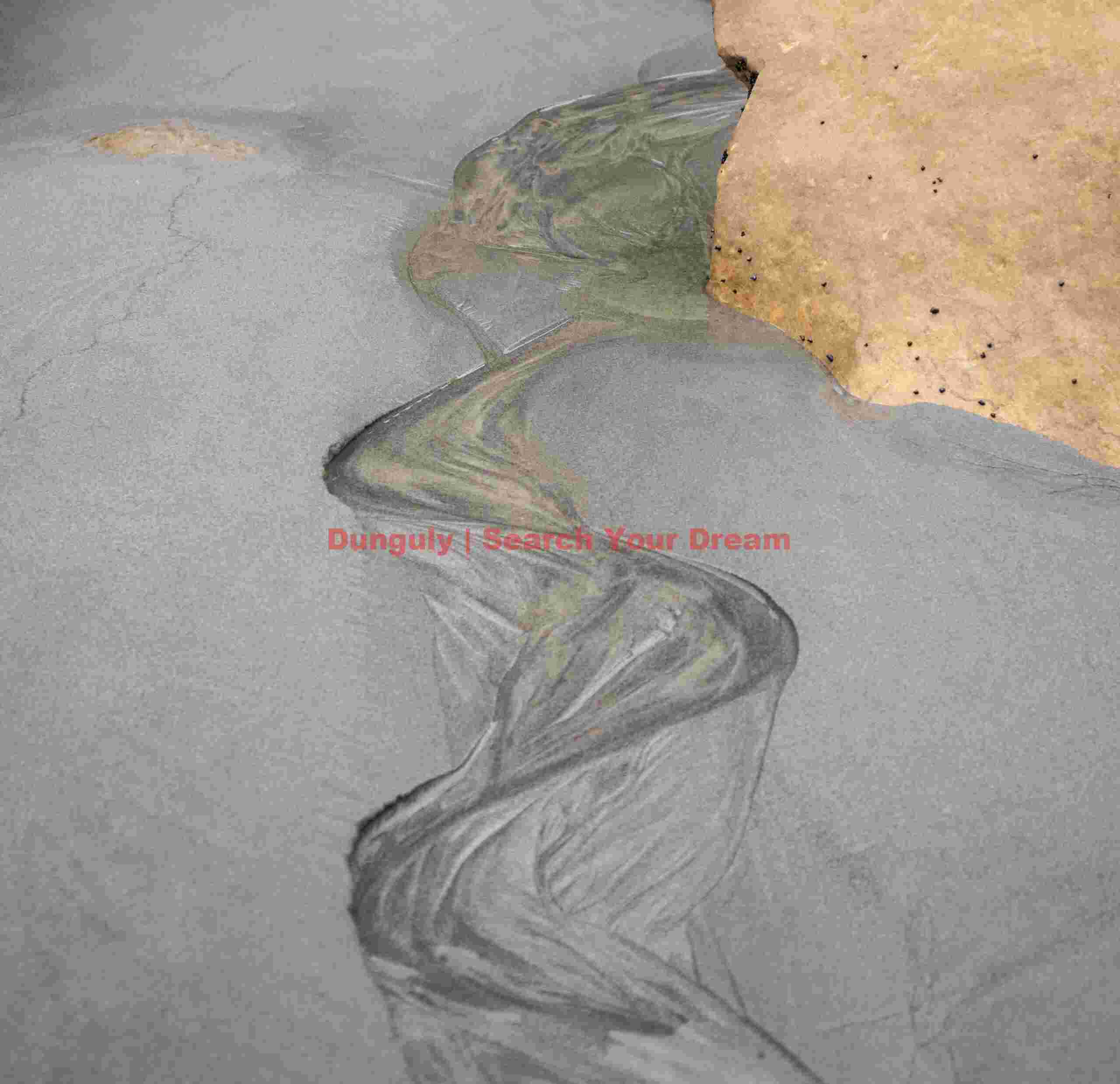 Sinusoid in sand; South Island, New Zealand Sinusoid in sand