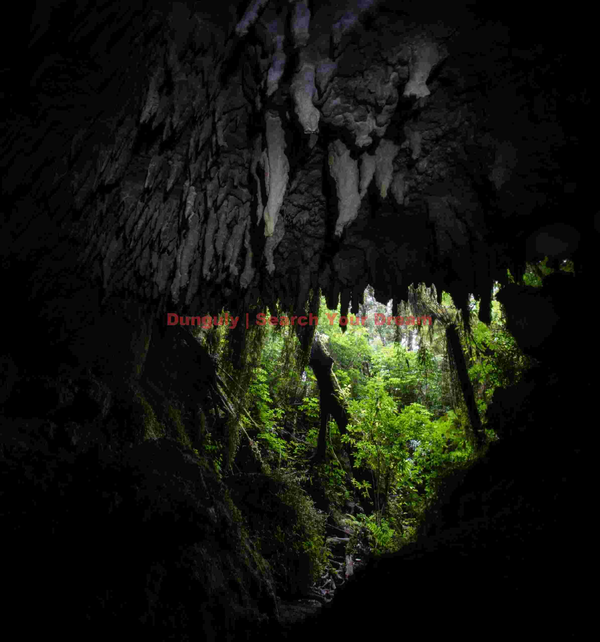 Stalagtites at mouth of Fenian Tunnel Cave, Karamea, South Island, New Zealand Stalagtites at mouth of Fenian Tunnel Cave, Karamea, South Island, New Zealand