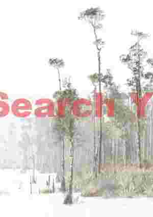 Tall trees