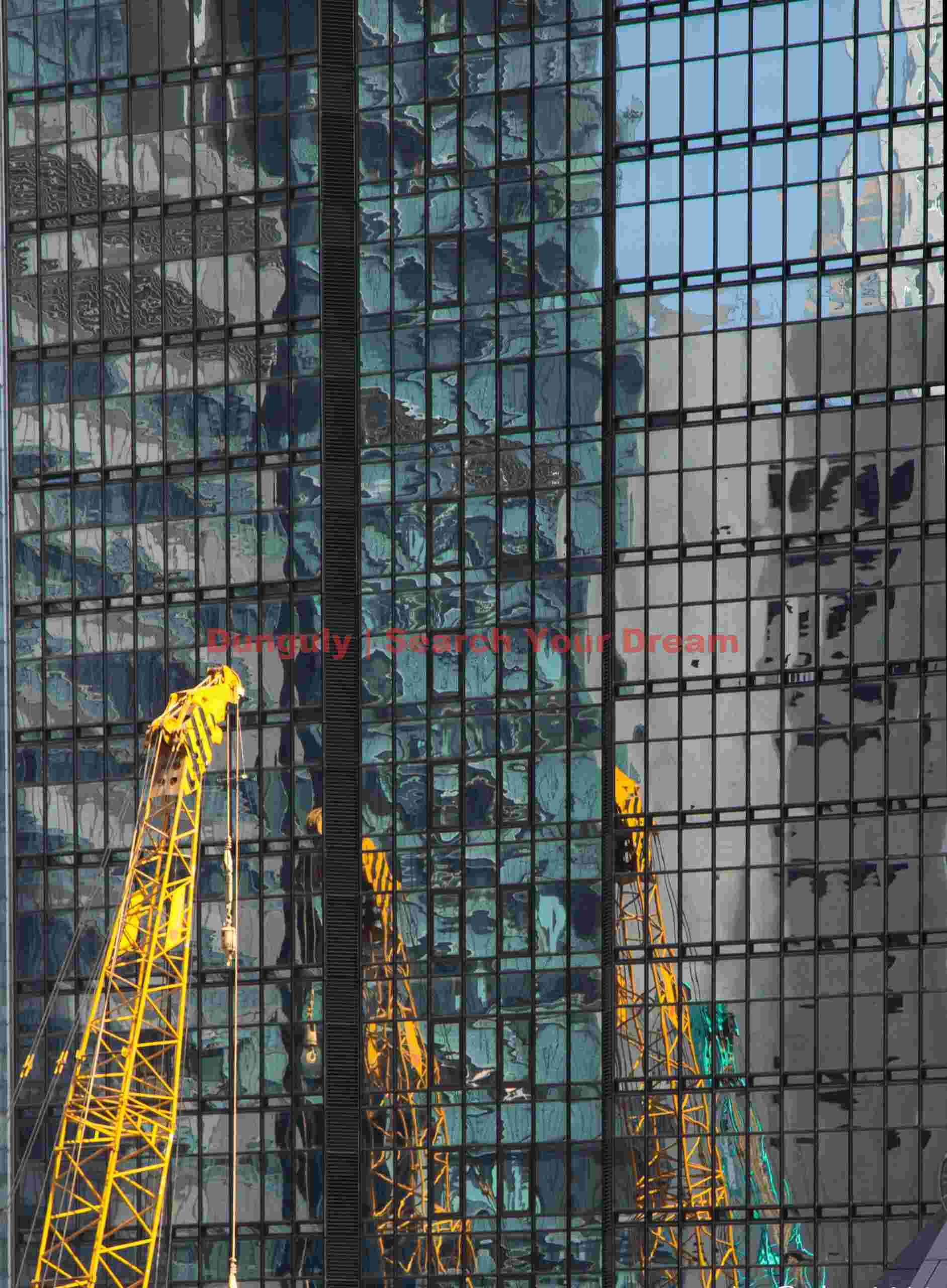 Yellow cranes; Hong Kong Yellow cranes