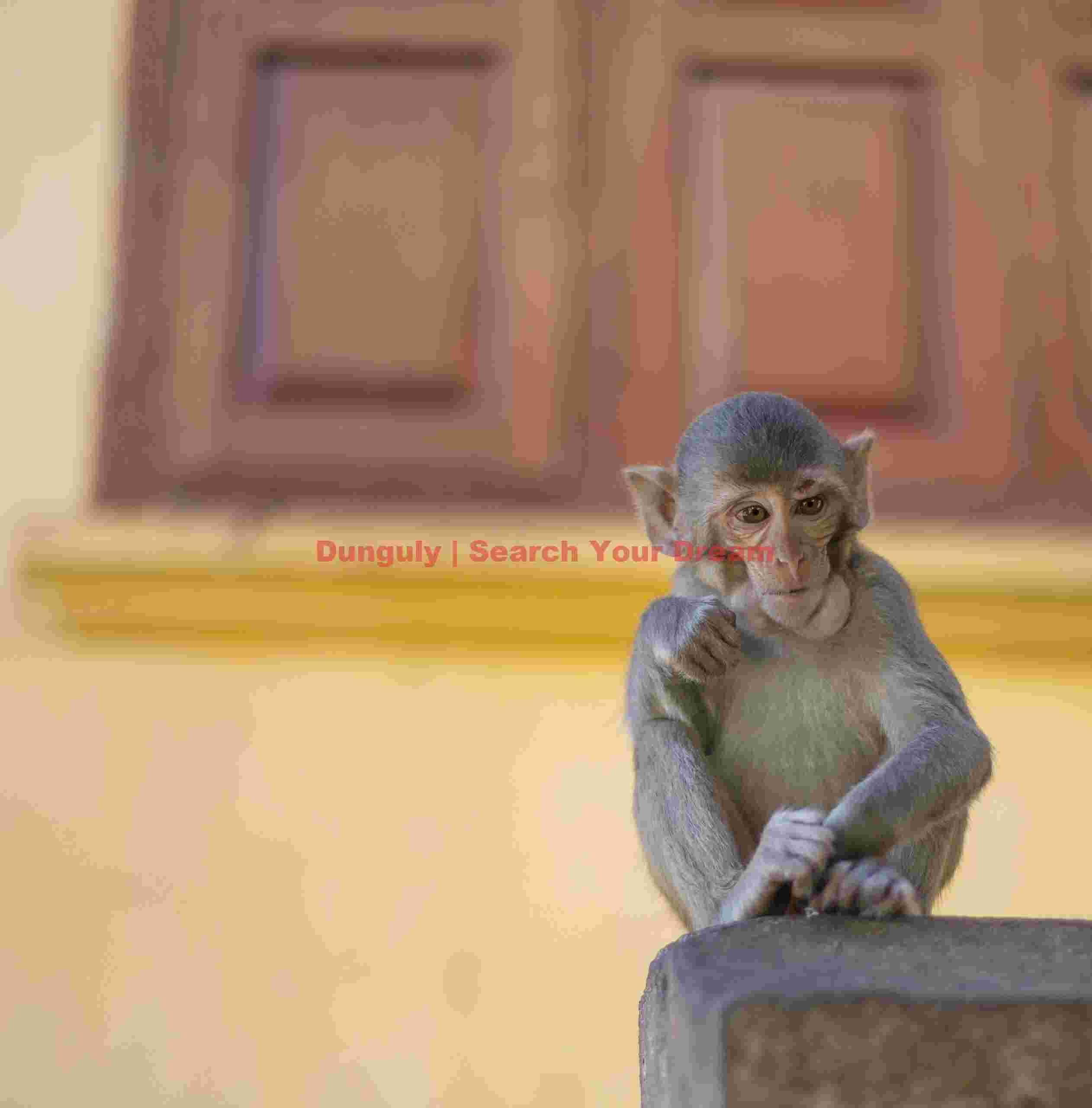 Young monkey in monastery; Mount Popa, Burma Young monkey in monastery