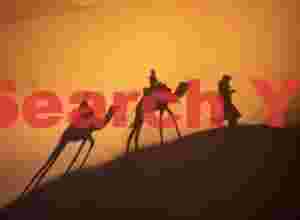Camel ride