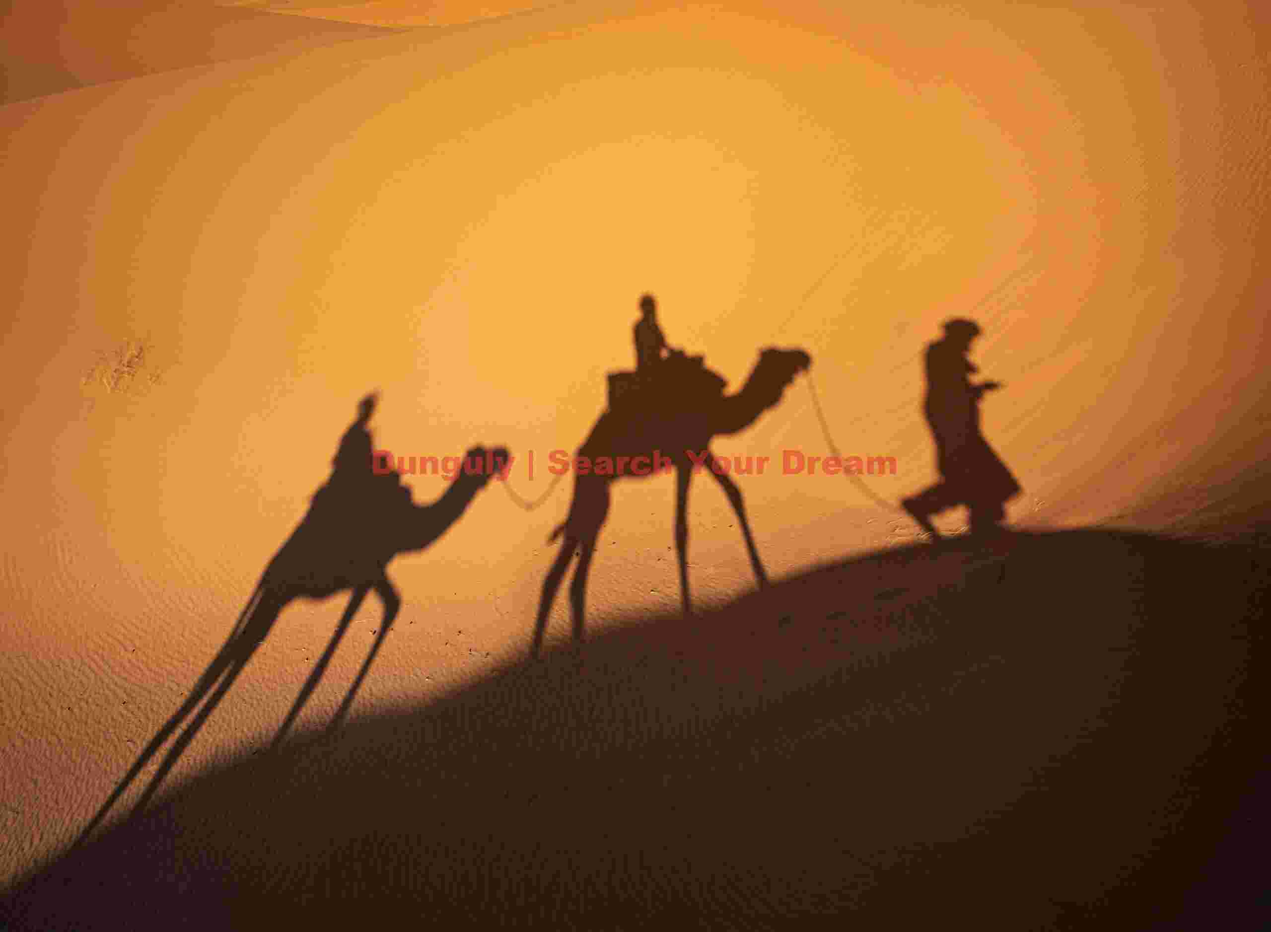 Camel shadows; Morocco Camel ride