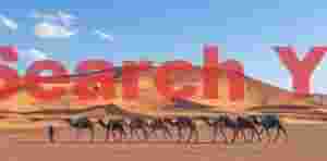 Camel train