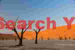 Deadvlei view