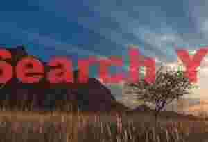 God-rays over grasses