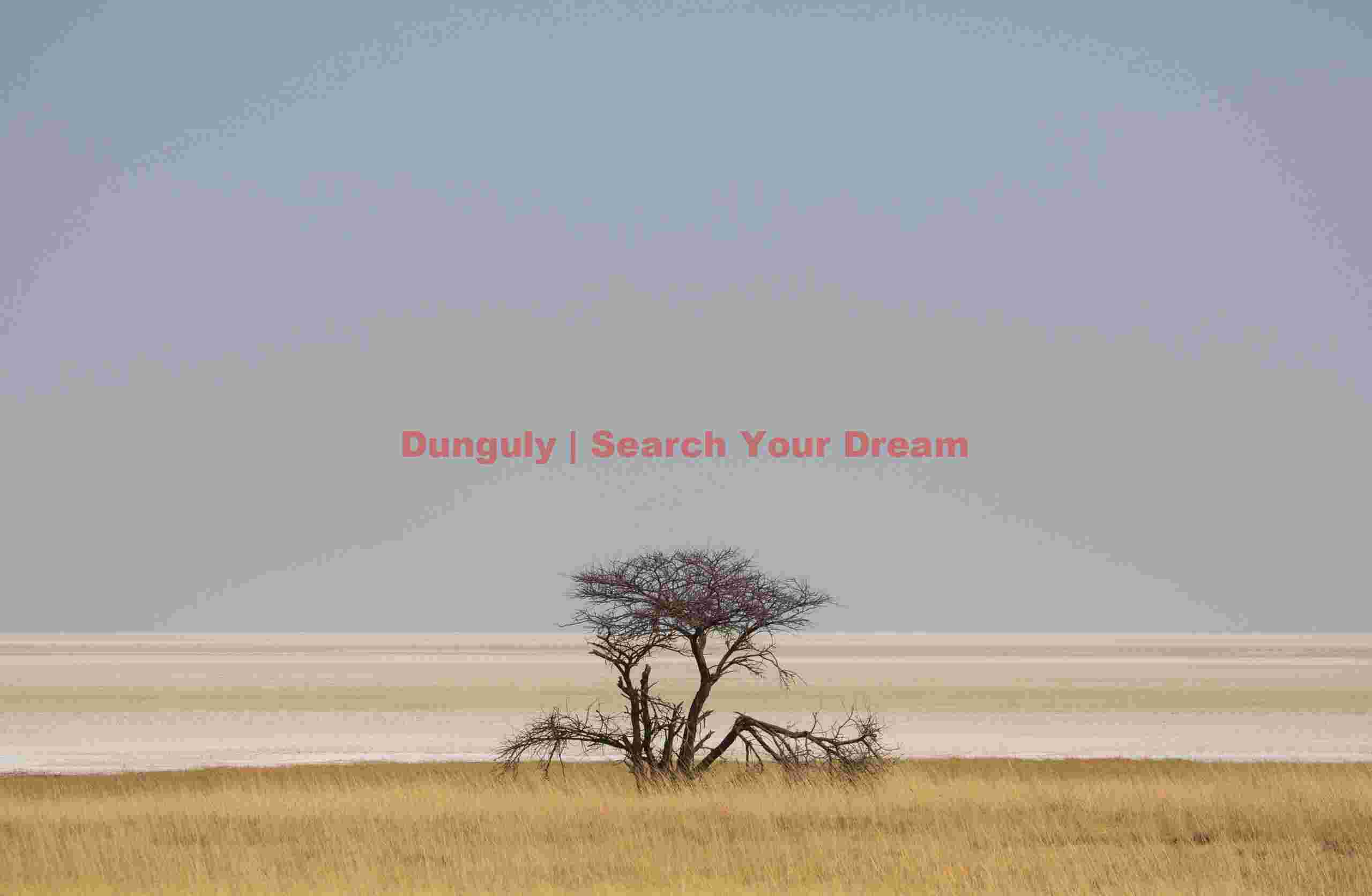Lone tree at the edge of the Etosha pan; Etosha N.P, Namibia 6 Lone tree at the edge of the Etosha pan