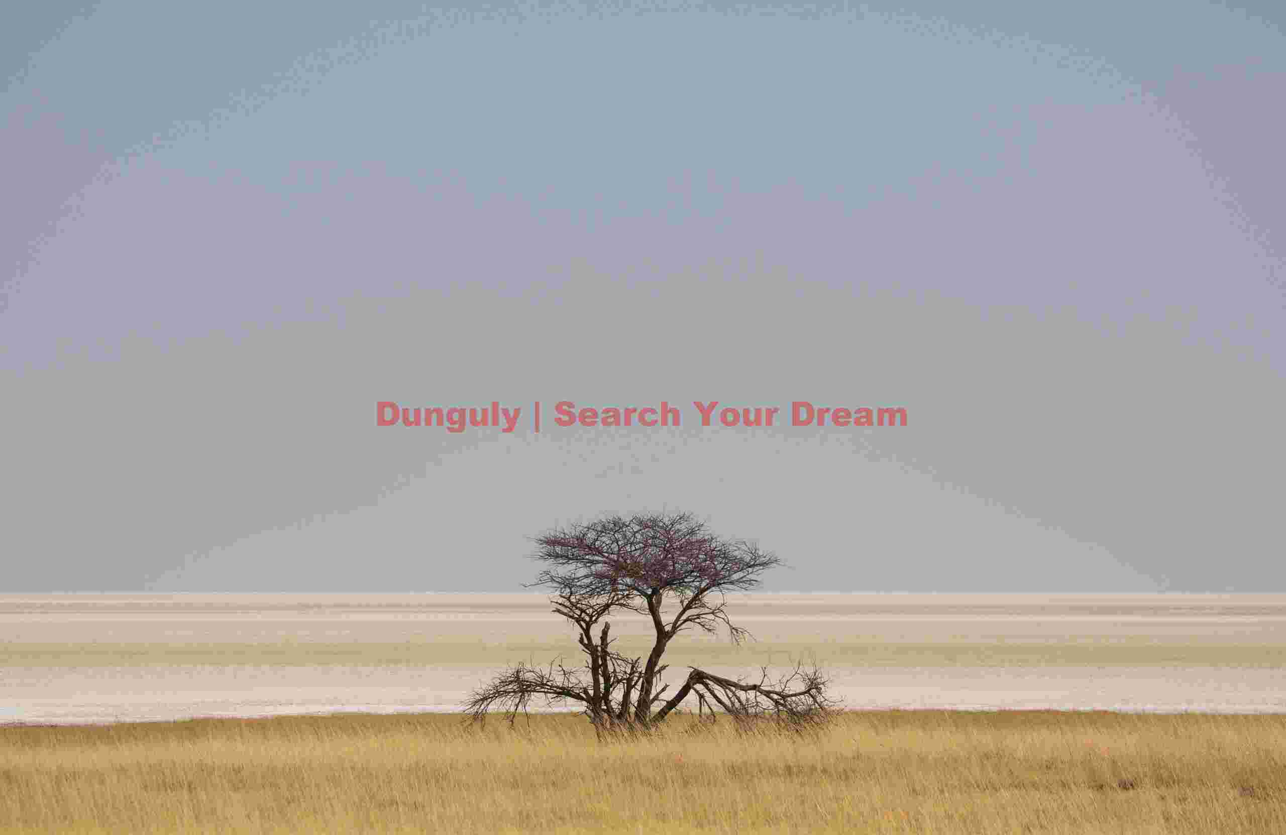 Lone tree at the edge of the Etosha pan; Etosha N.P, Namibia Lone tree at the edge of the Etosha pan
