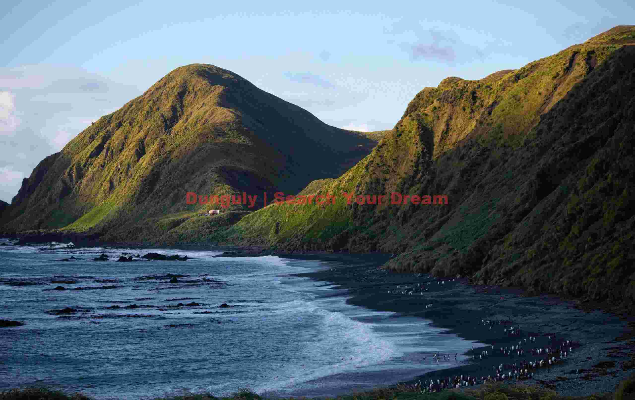 Sandy Bay with penguins; Macquarie Island Sandy Bay with penguins