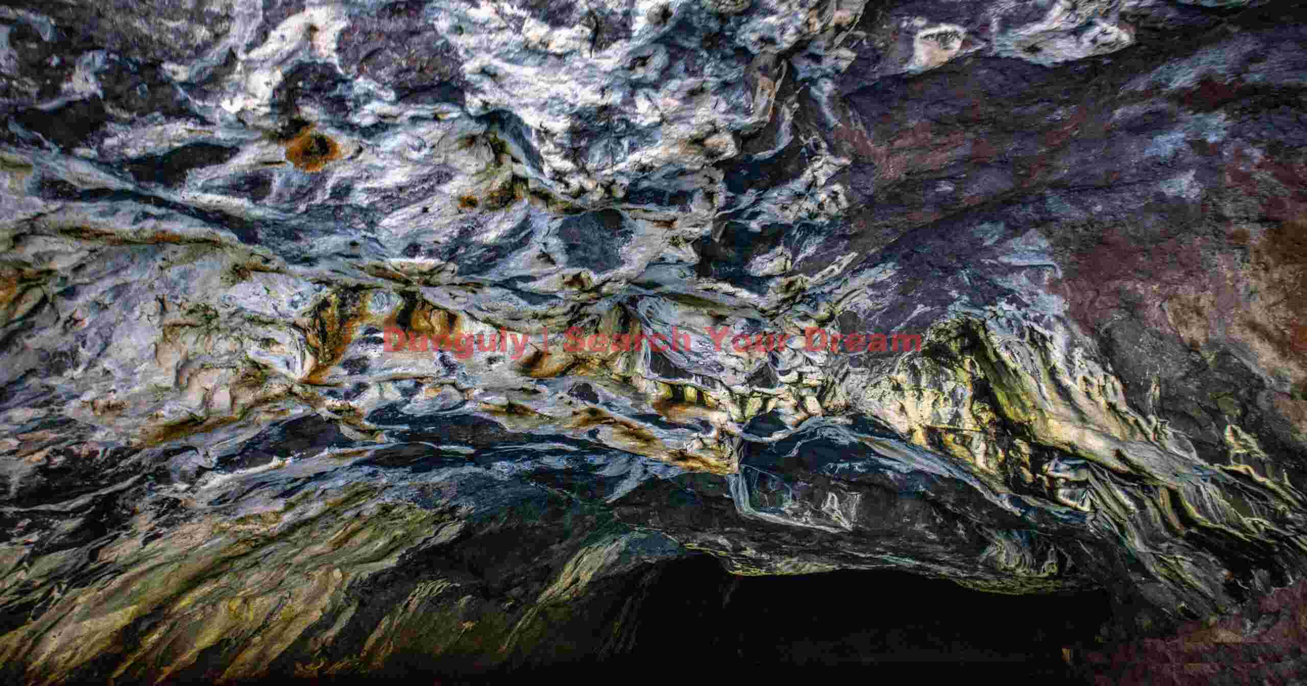 Sea cave roof; Auckland Island Sea cave roof