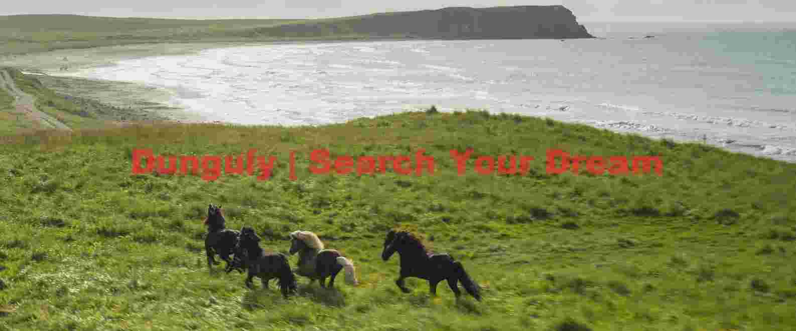Wild Freedom: Icelandic Horses Galloping on Coastal Grassland Wild Freedom: Icelandic Horses Galloping on Coastal Grassland