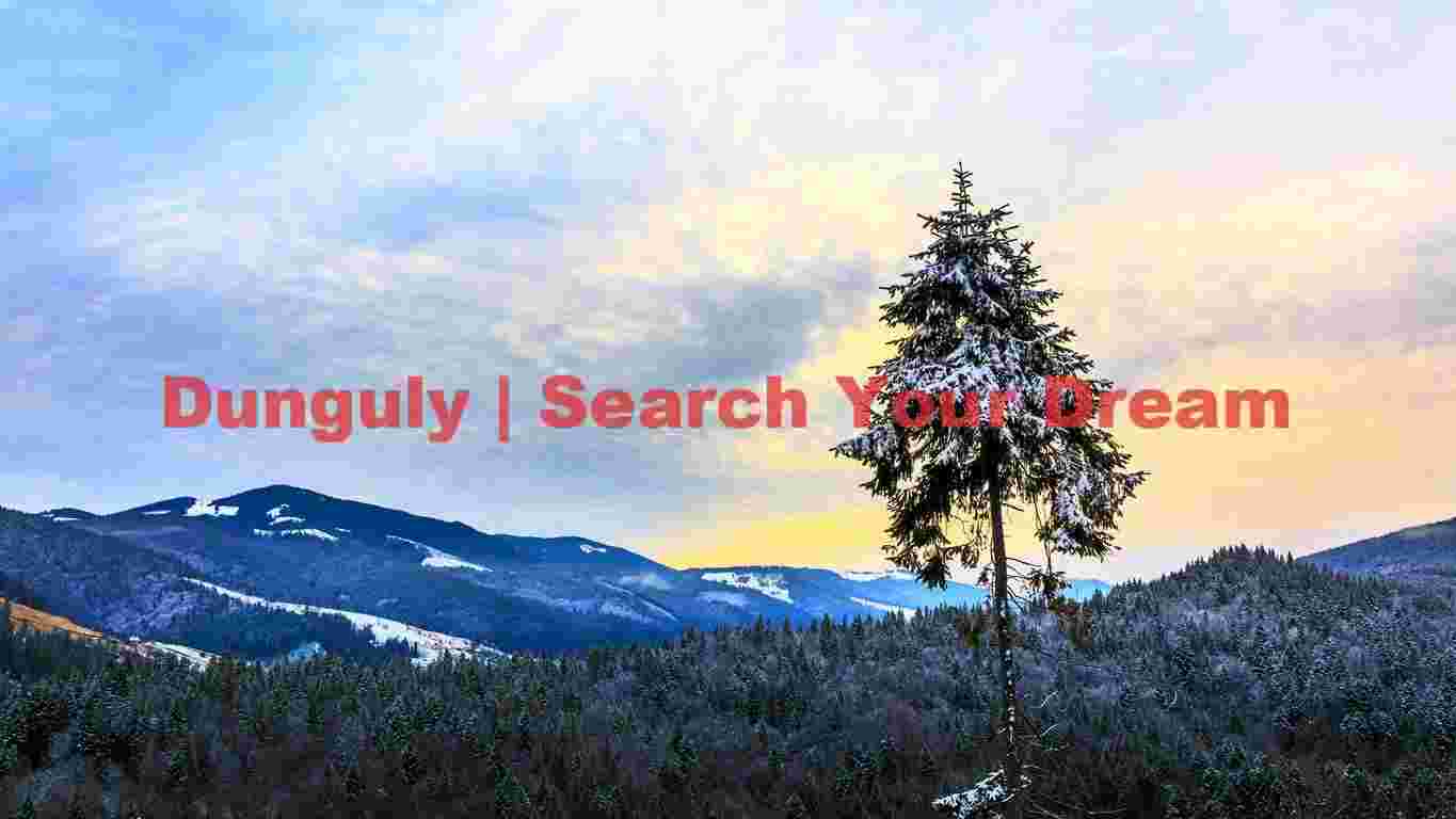 Winter's Embrace: Majestic Mountain Forest Landscape Photography Winter's Embrace: Majestic Mountain Forest Landscape Photography