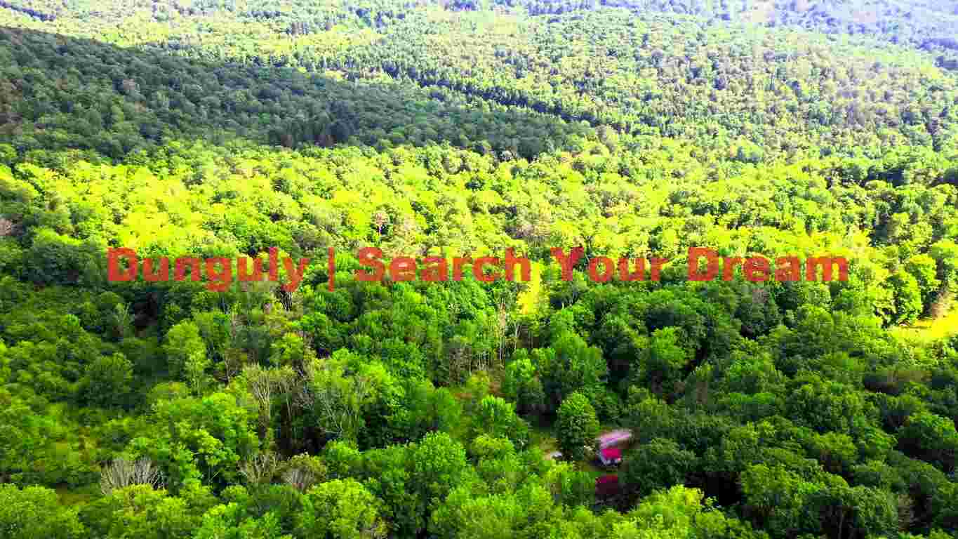 Aerial Forest Retreat: Tranquil Wilderness with Cozy Cabins Aerial Forest Retreat: Tranquil Wilderness with Cozy Cabins