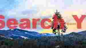 Winter Solitude: Lone Evergreen Amidst Snowy Peaks
