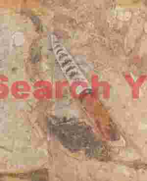 Orthoceras fossil