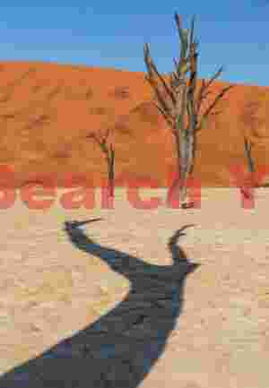 Shadowlands #3