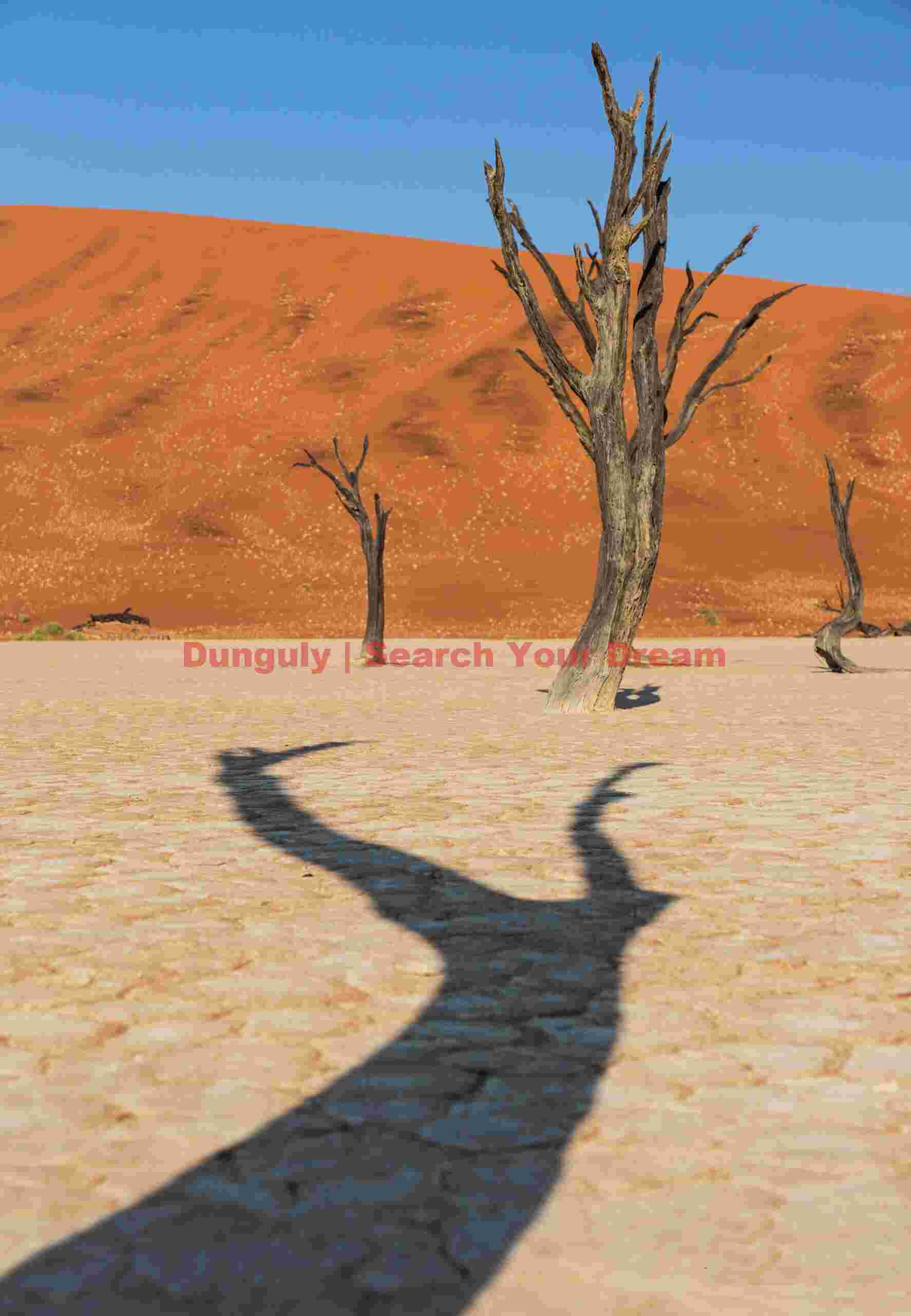 Shadowlands #3; Deadvlei, Namibia Shadowlands #3