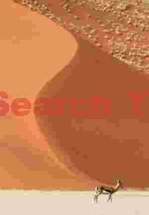 Sigmoid dune and springbok