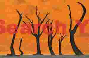 Sinuous tree abstract #2