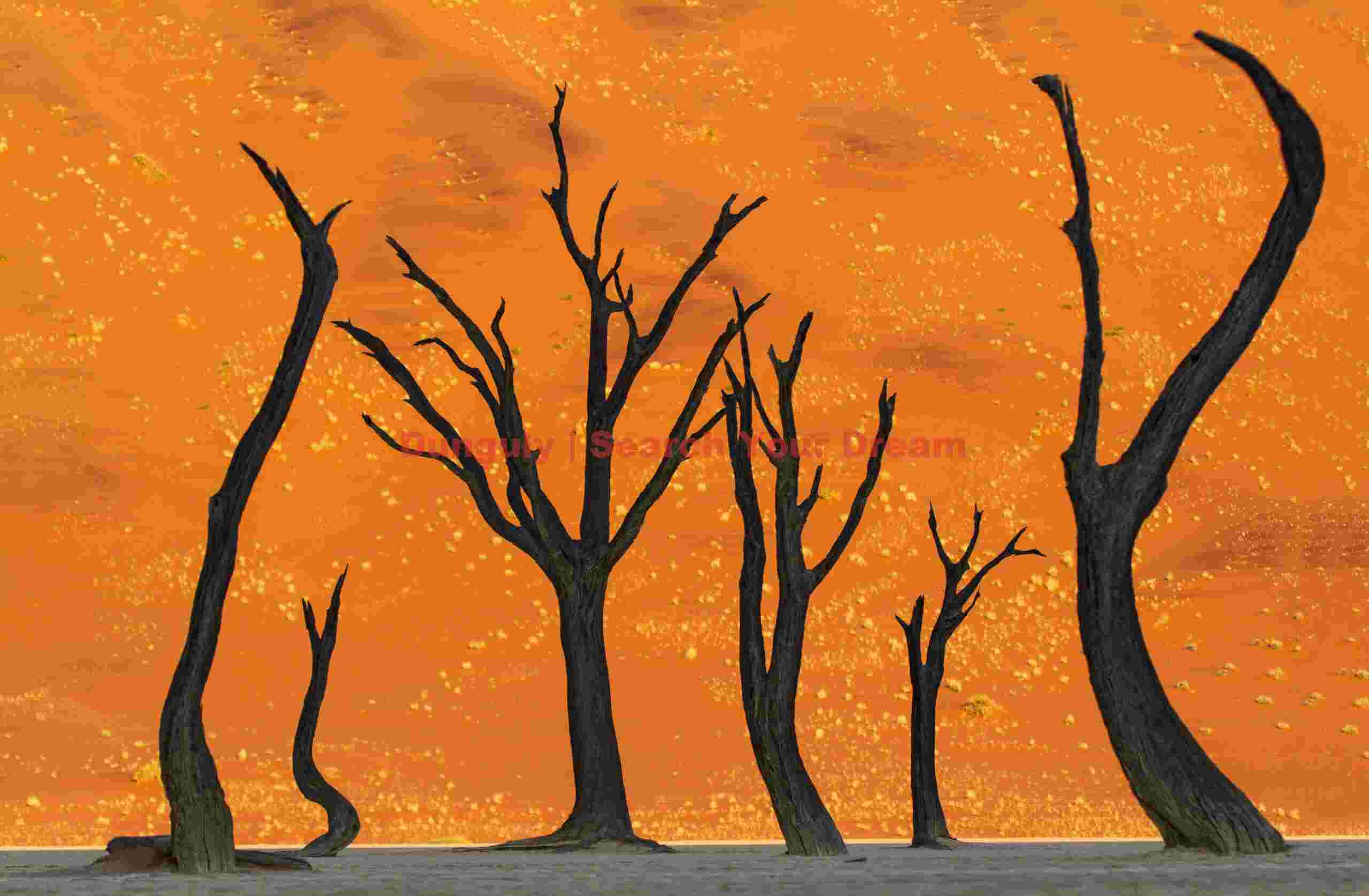 Sinuous tree abstract #2; Deadvlei, Namibia Sinuous tree abstract #2