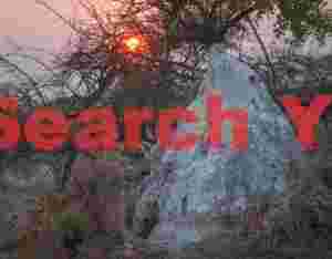 Termite mound at sunset