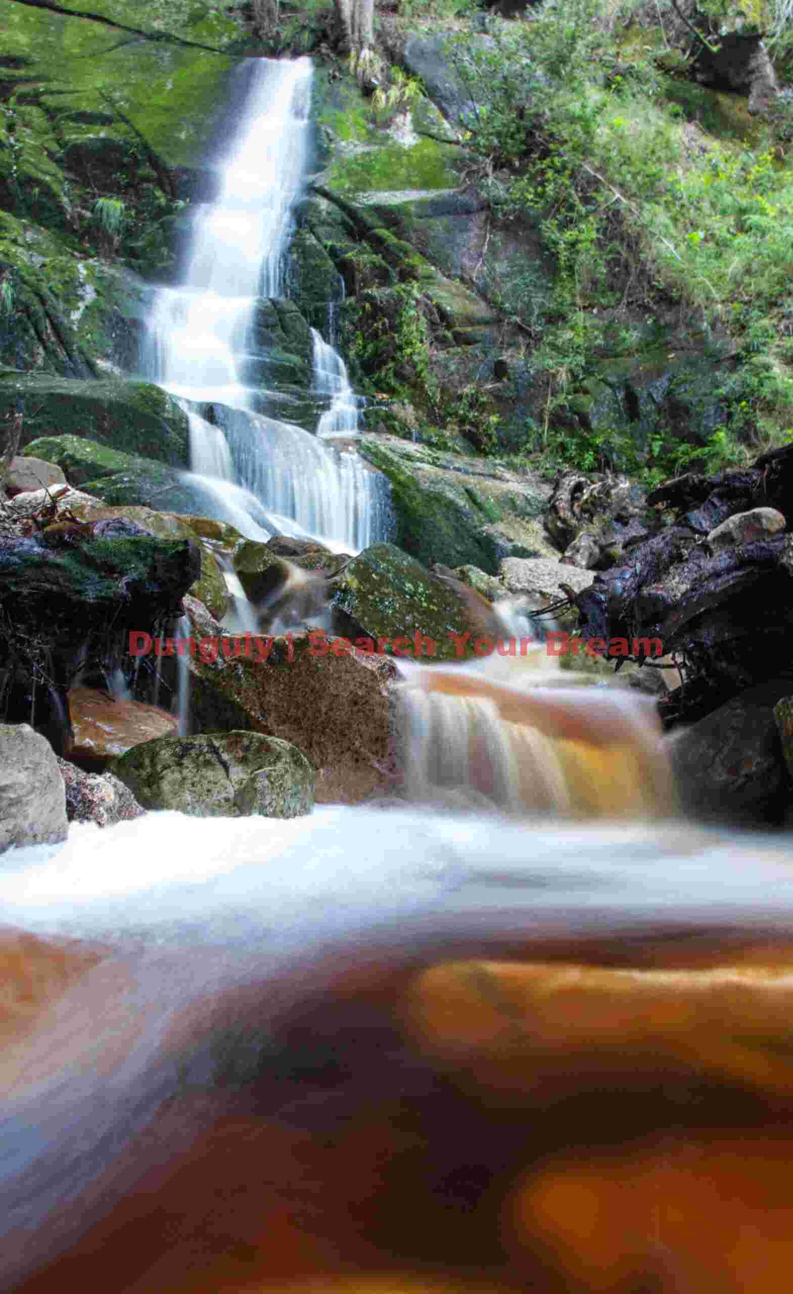 Waterfall in Skeleton Gorge; Table Mountain National Park, South Africa Waterfall in Skeleton Gorge
